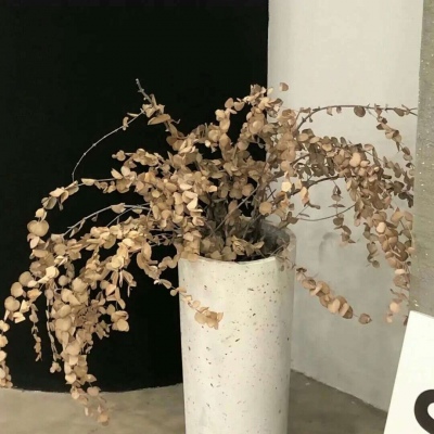 Furry角色性格塑造技巧FurryQQ群